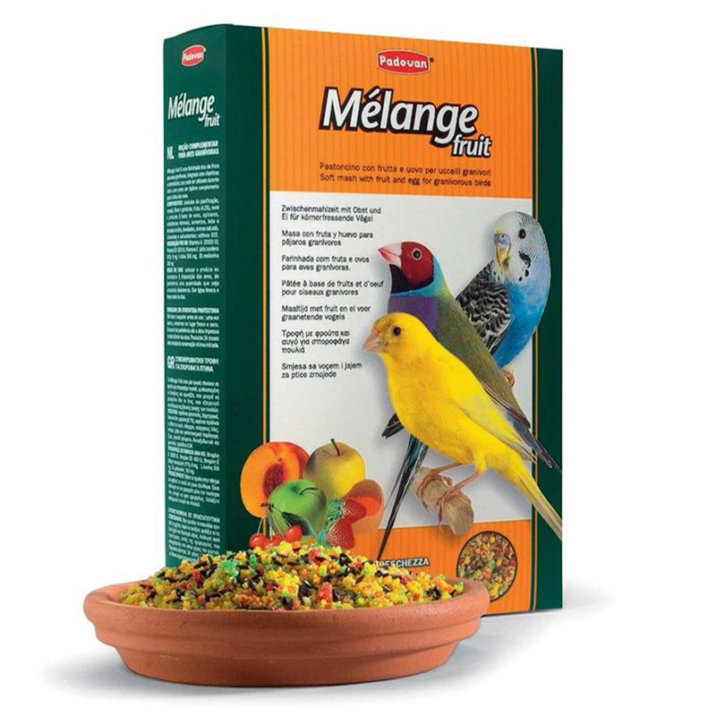 

Корм для птиц Padovan, Melange Fruit с фруктами и яйцом 300г