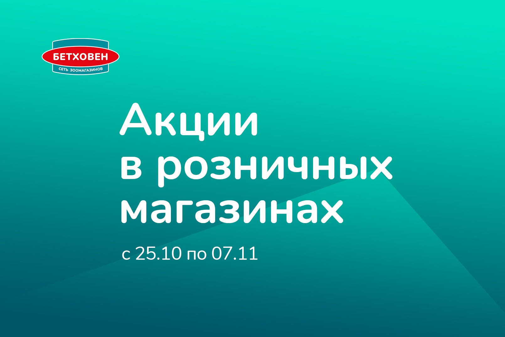 Акции в розничных магазинах