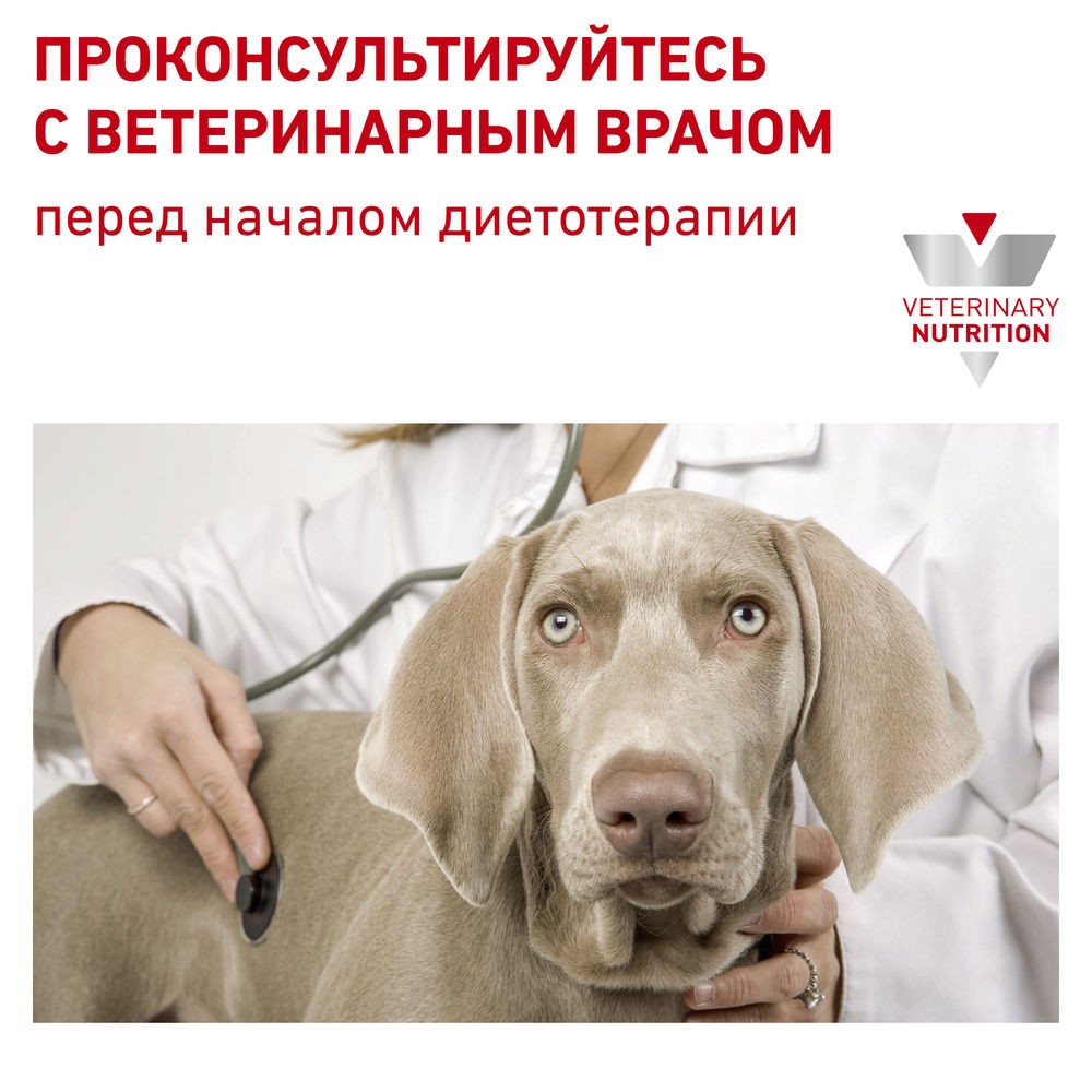 Royal canin hepatic outlet hf 16 veterinary diet