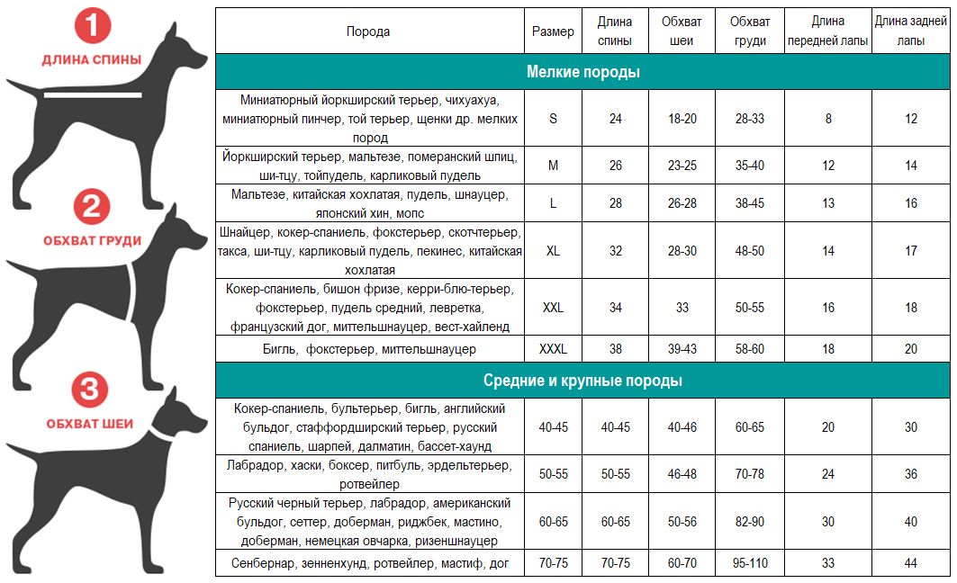 Через сколько после еды гулять с собакой. Таблица размеров одежды для собак мелких пород йорки. Размерная таблица комбинезонов для собак крупных пород. Размерная сетка одежды для собак средних пород той терьер. Таблица размеров одежды для собак мелких пород чихуахуа.
