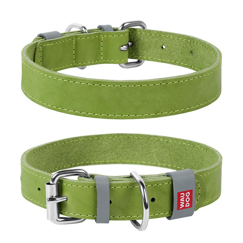 

Ошейник для собак COLLAR, Waudog Classic кожа, металлическая пряжка (шир.12мм, дл.19-25см) салатовый