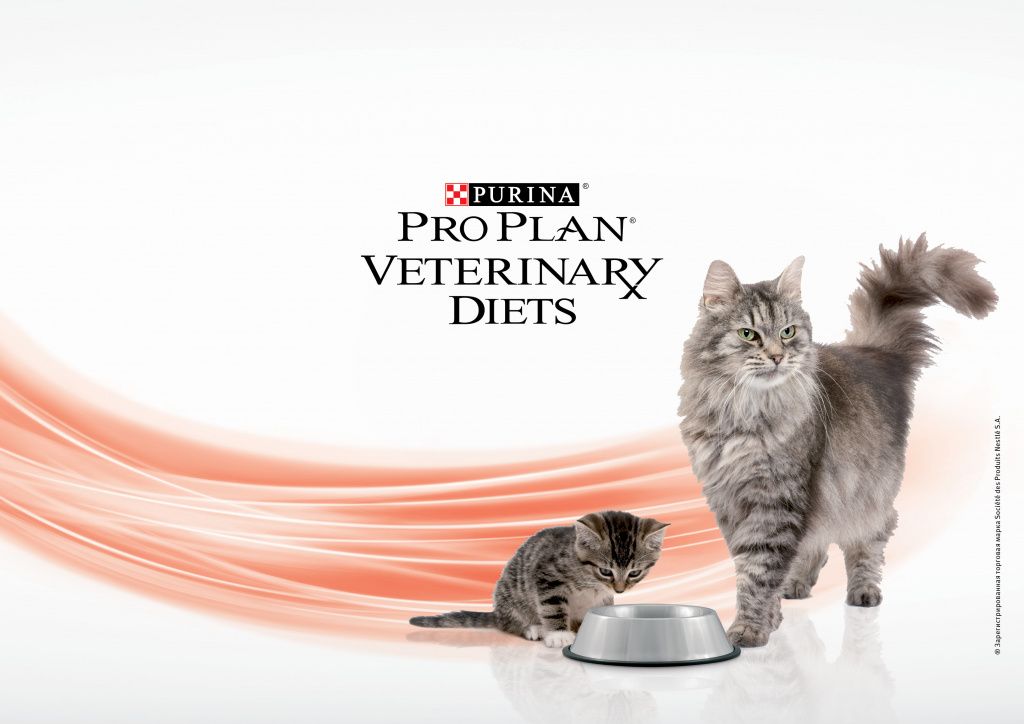 PRN_ProPlan_Veterinary_Diets_Page-12.jpg