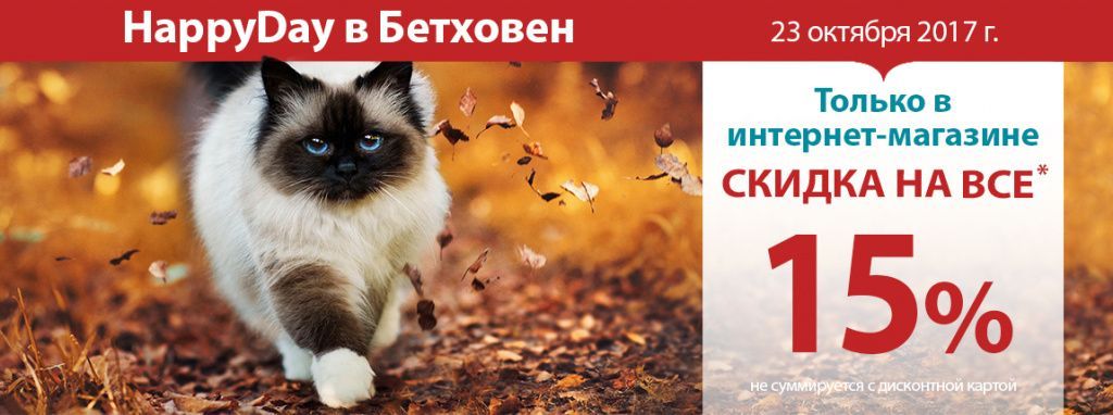 1150х430px_happy day cat.jpg