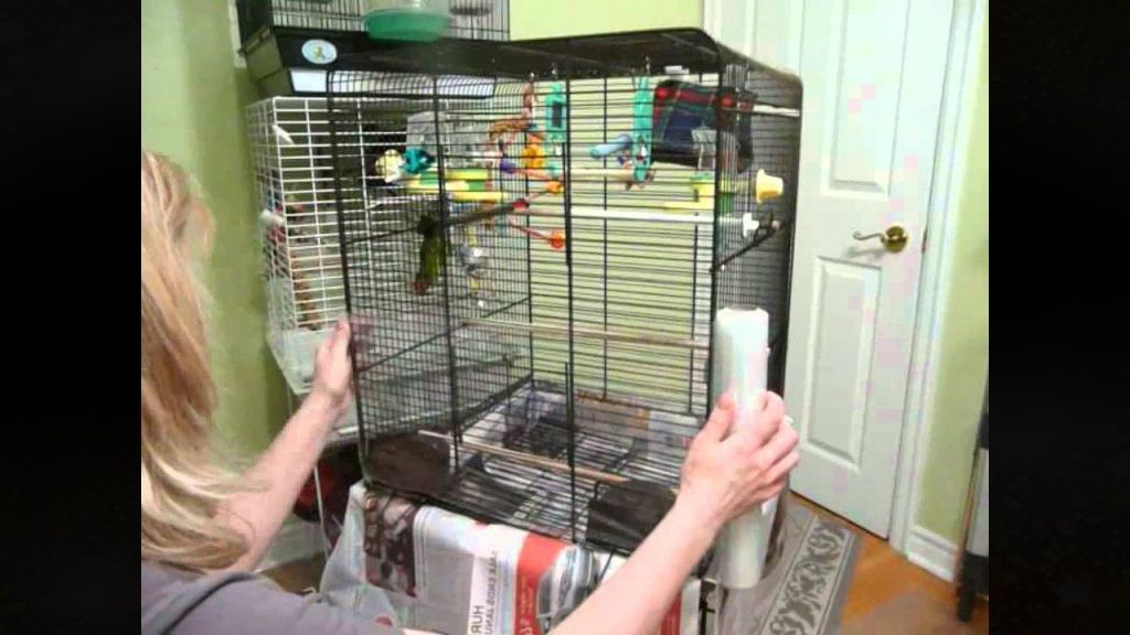 Как оборудовать клетку для попугая