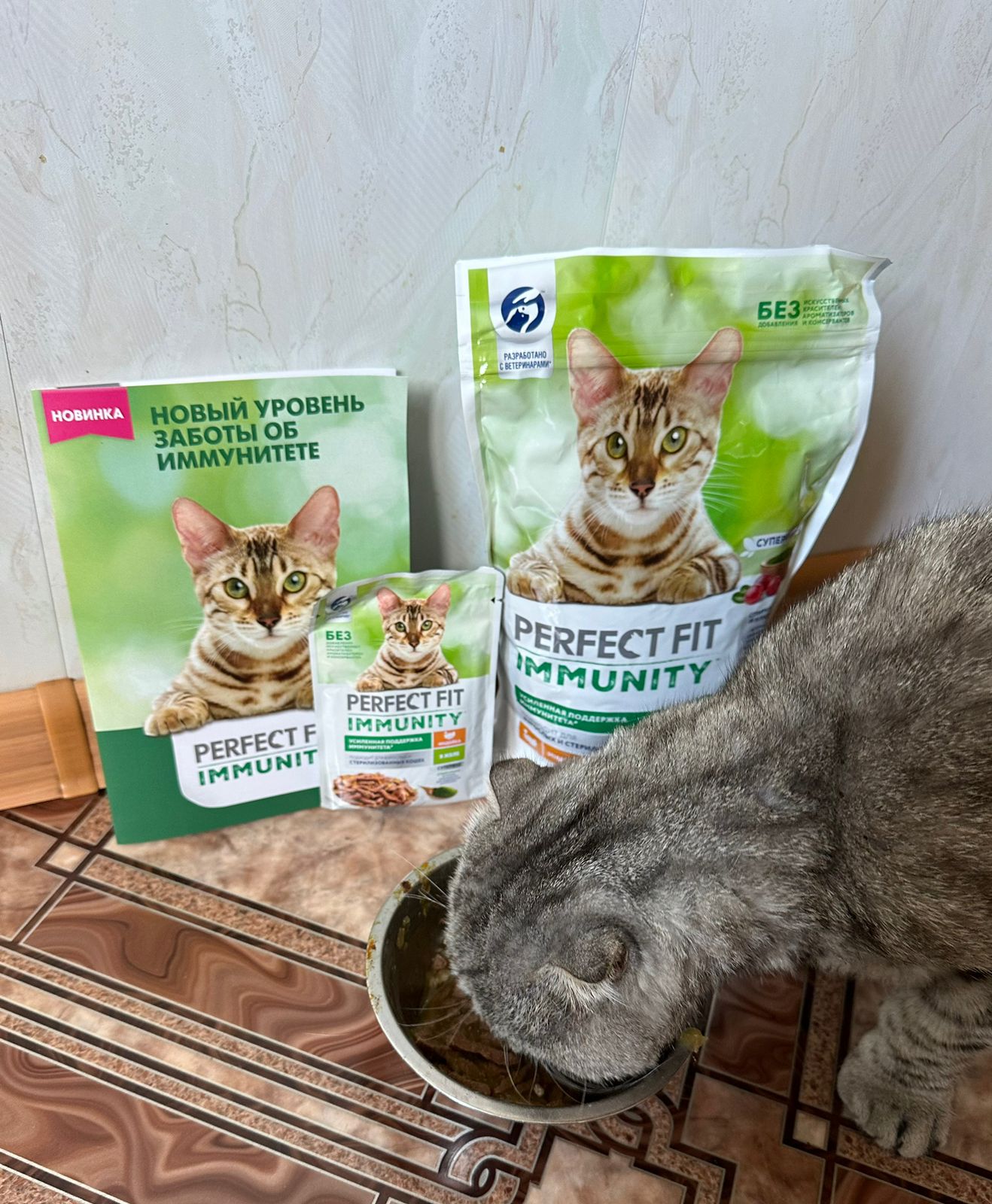 Perfect fit immunity для кошек. Immunity кошки Перфект фит. Perfect Fit Immunity с говядиной в желе 75г.